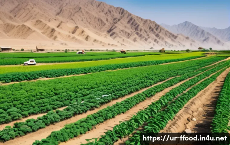 기후 변화로 인한 해충 및 질병 증가 - A detailed agricultural landscape in rural Pakistan during a hot summer day, showing farmers in trad...