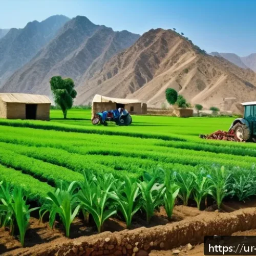 Home 33 식량 안보를 위한 국가 정책 - A vibrant and detailed scene of Pakistani farmers using modern agricultural machinery in a lush gree...